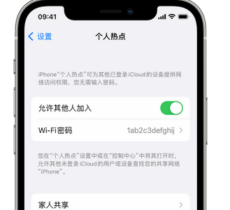 大安apple服务站点分享iPhone上个人热点丢失了怎么办 