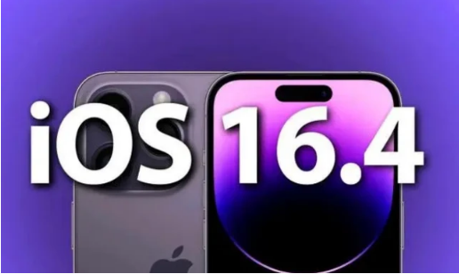 大安苹果14维修分享：iPhone14可以升级iOS16.4beta2吗？ 