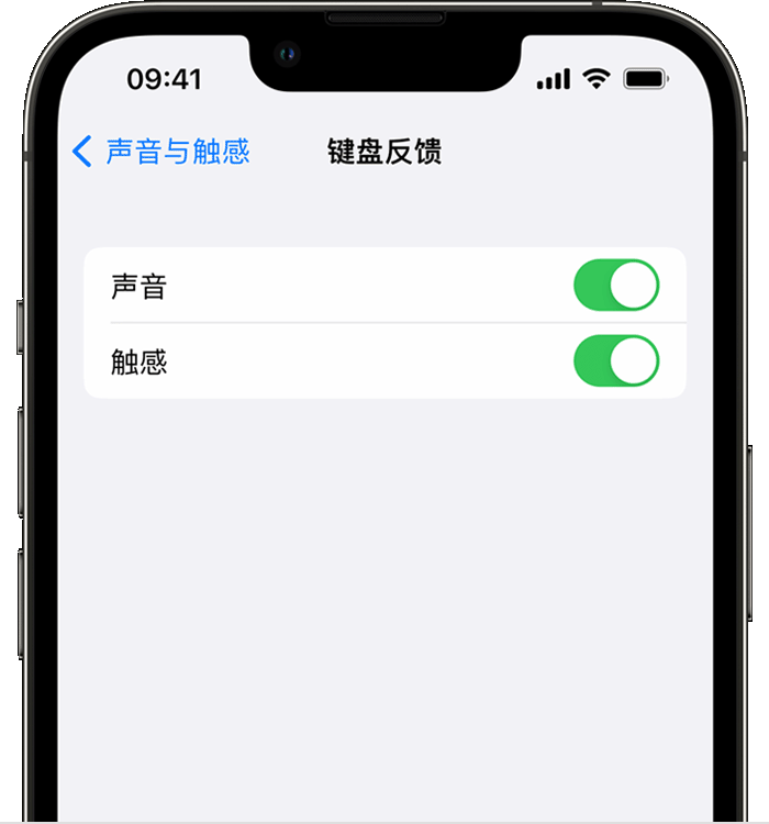 大安苹果14维修店分享如何在 iPhone 14 机型中使用触感键盘 