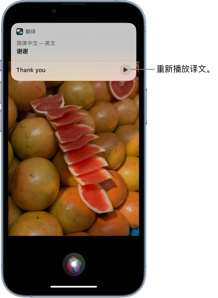 大安苹果14维修分享 iPhone 14 机型中使用 Siri：了解 Siri 能帮你做什么 