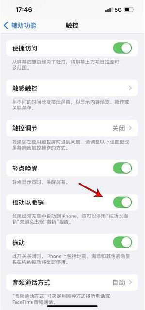 大安苹果手机维修分享iPhone手机如何设置摇一摇删除文字 