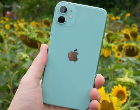 大安苹果维修点分享iPhone 11锁屏密码认知与使用科普 